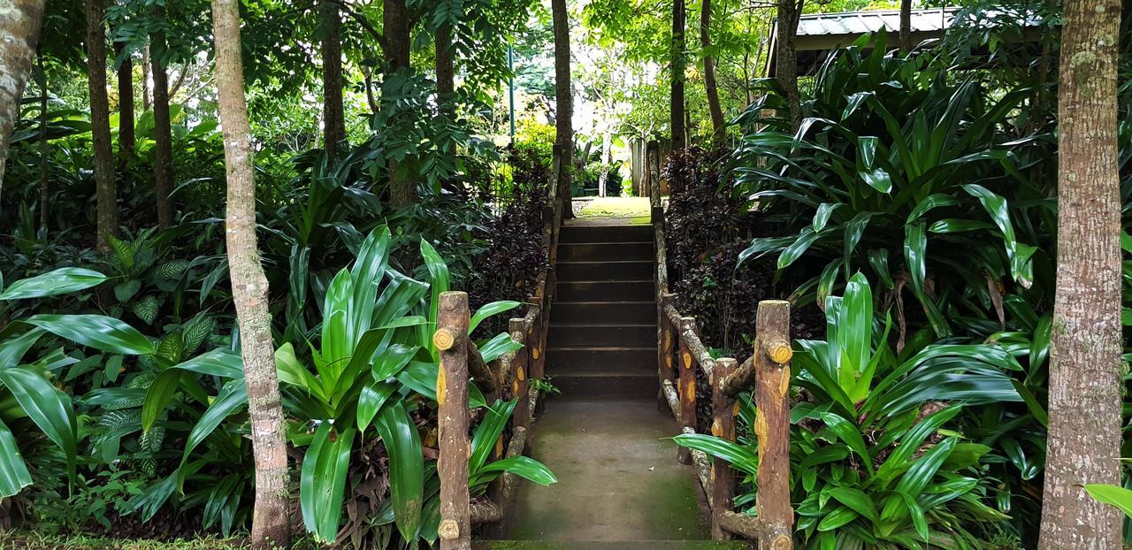 Tagaytay Summer House Tagaytay City Dış mekan fotoğraf